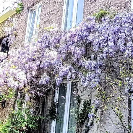 Apartamento Casa Lairesse *